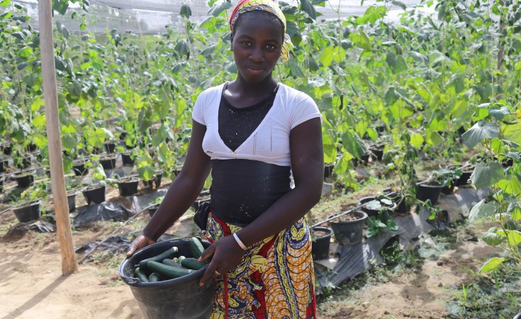 Africa: How Women-Led Agribusinesses Are Boosting Nutrition in Africa