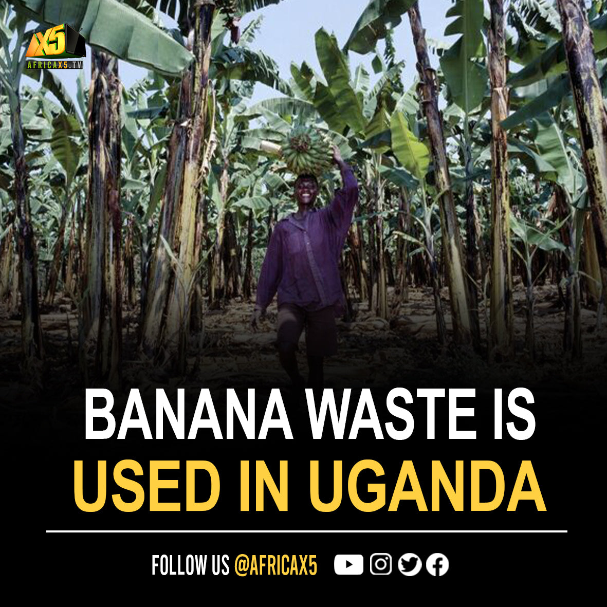 Bananas are the world's most wasted crop, but this Uganda company is creating ways for change.