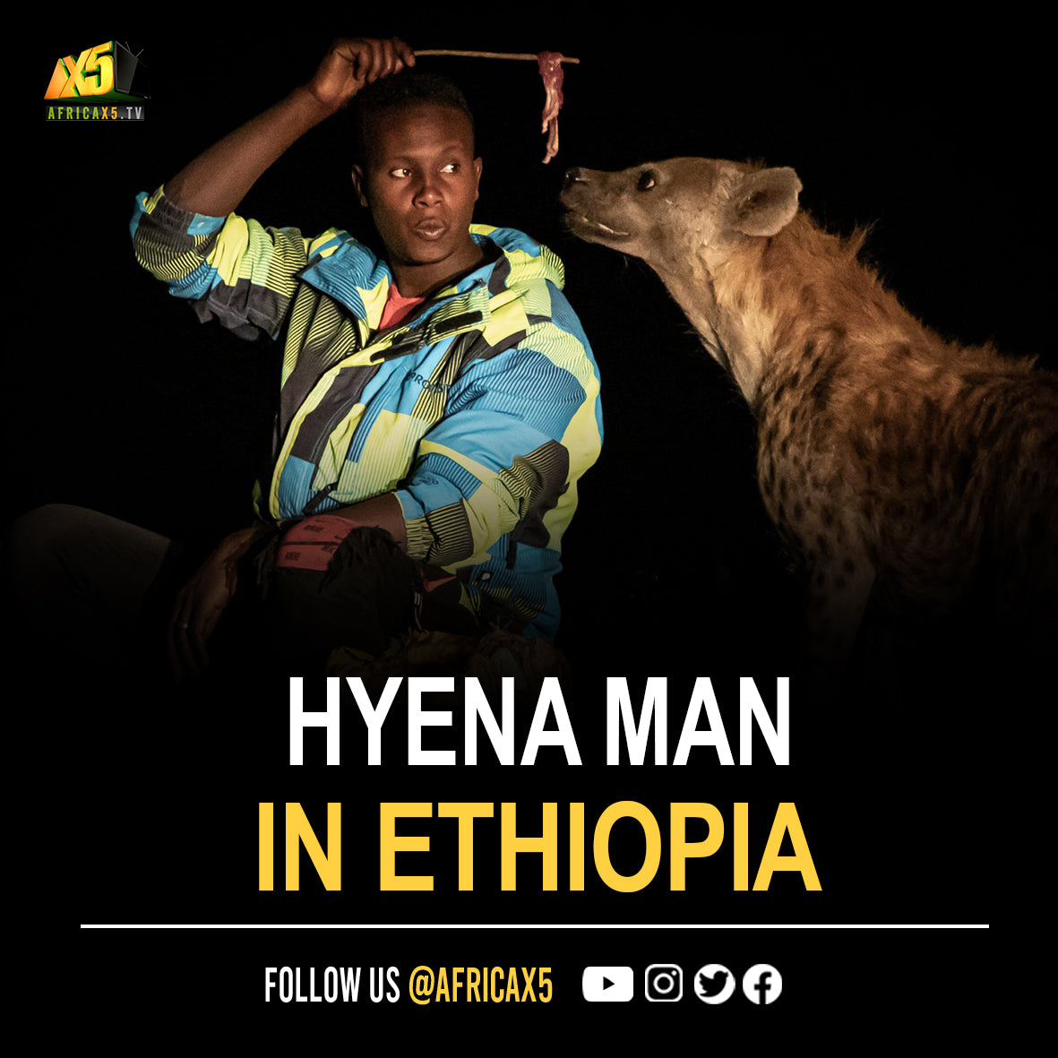 There is a man in Ethiopia known as Abbas “The Hyena Man”. He started feeding hyenas to keep them away from livestock, but he eventually gained their trust and has even been led back to their den to meet some of their cubs.