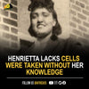 In 1951, Henrietta Lacks' cells were taken without her knowledge (HeLa Cells) at Johns Hopkins Hospital and they became one of the most important tools in medicine, vital for developing the polio vaccine, gene mapping, vitro fertilization and more