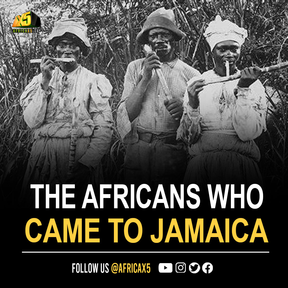 THE AFRICANS WHO CAME TO JAMAICA